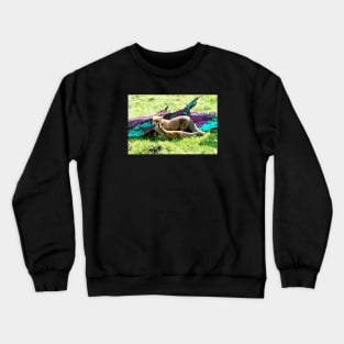 Motherly Love / Swiss Artwork Photography Crewneck Sweatshirt